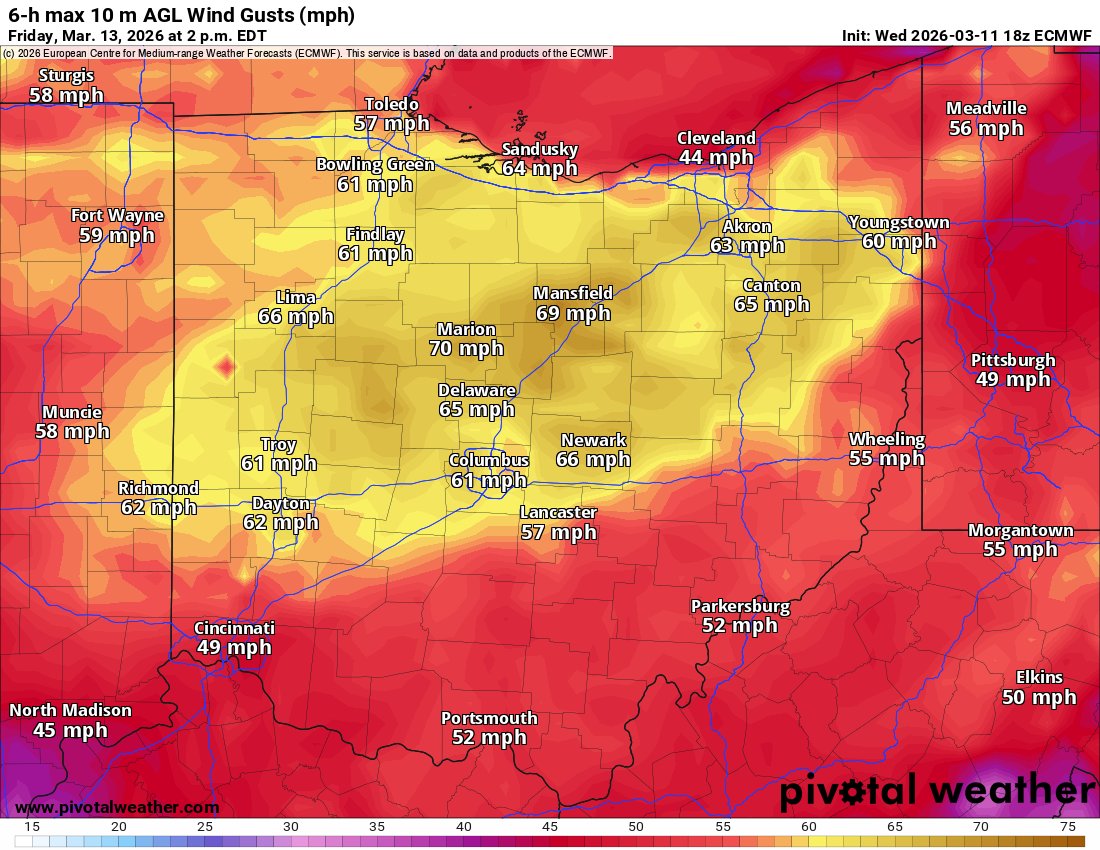 Tyler Sebree ⚡️ tweet media