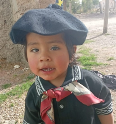 #Urgente!!!!, denuncia recibida desde #Jujuy 
🆘Niño desaparecido!!!!
Elian Ezequiel Cala tiene 2 años, desapareció el 11/3/26 en la Tabladita, Cochinoca, provincia de Jujuy.
Vestía canguro gris/ verde y azul, remera azul con dibujos de Mickey y zapatillas blancas. 
Avisar☎️911
