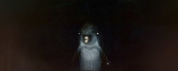 Esoteric tweet media