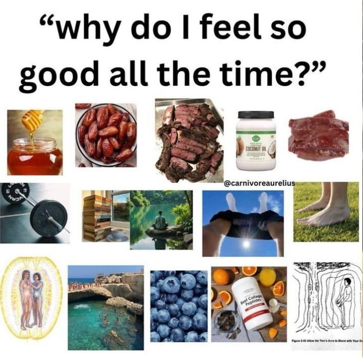 Fitness life (@fitness_g0d) on Twitter photo 