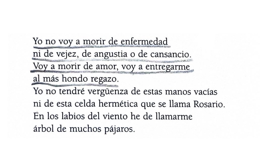 pidoelsilencio's tweet photo. Rosario Castellanos 🏹❤️ https://t.co/2RCxKk2hAQ