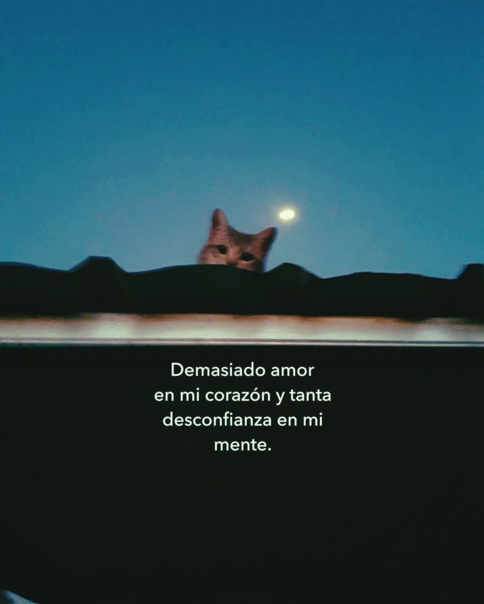 frases sad (@retumbera) on Twitter photo 
