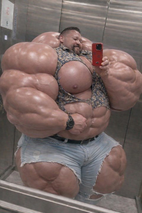 Muscle cow tweet media