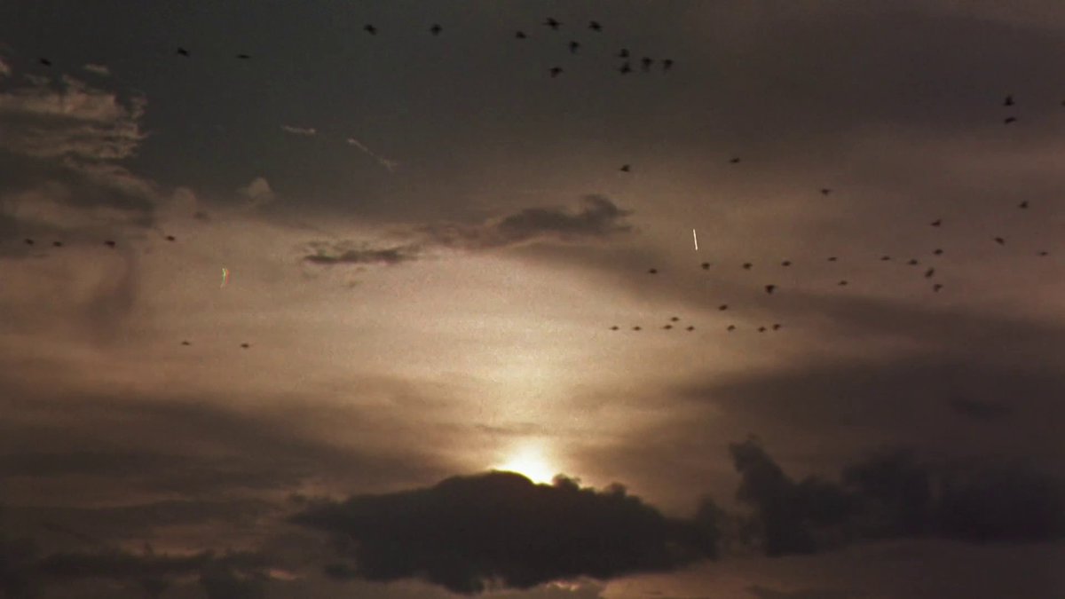 the wreck of a once promising youth tweet media