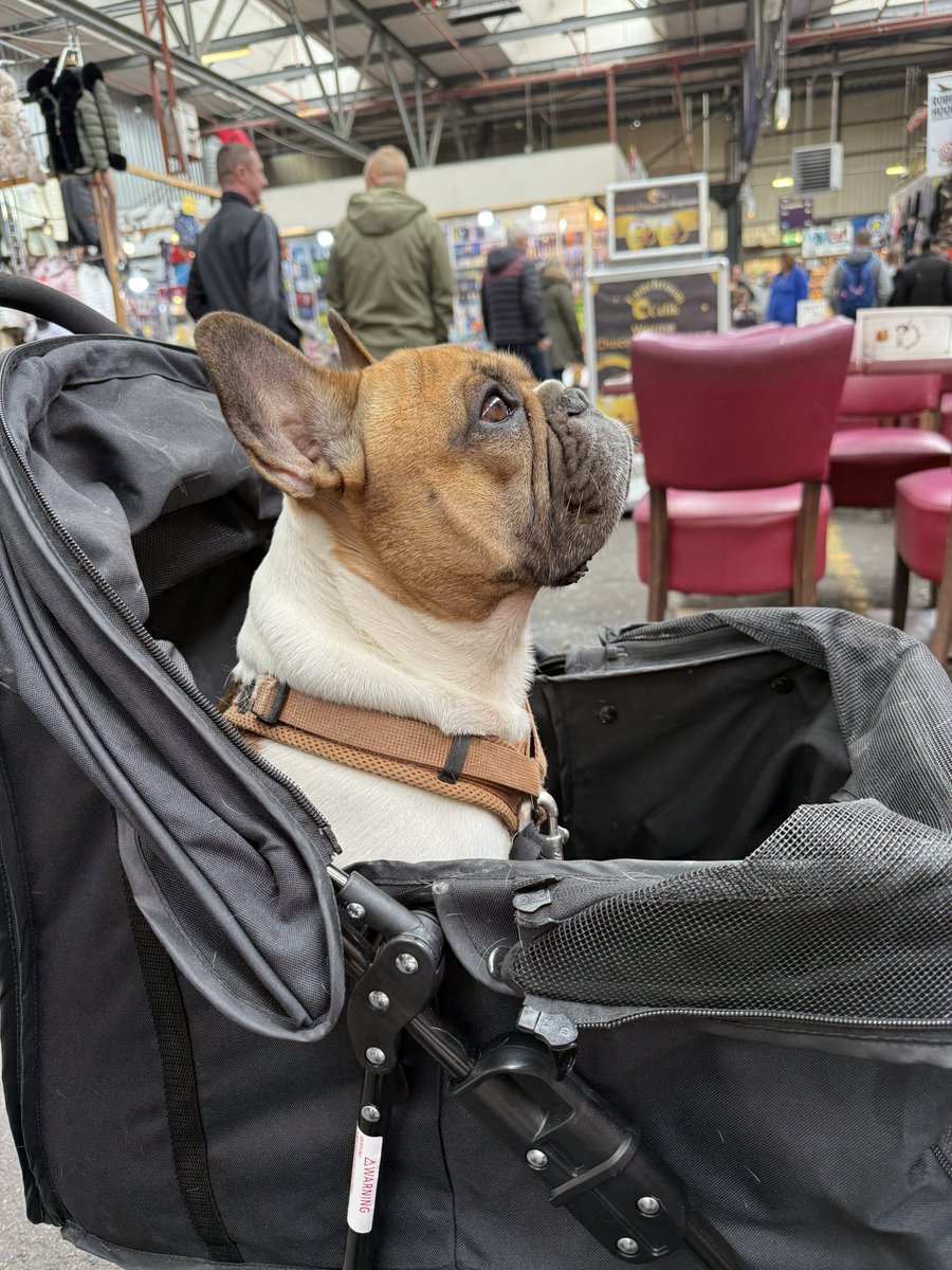 Justcarla tweet media