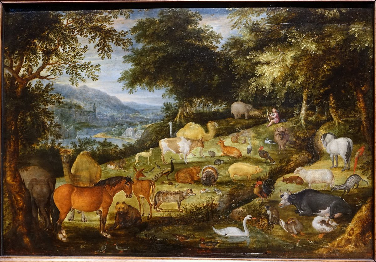 Presbyterian Knight🌲 tweet media