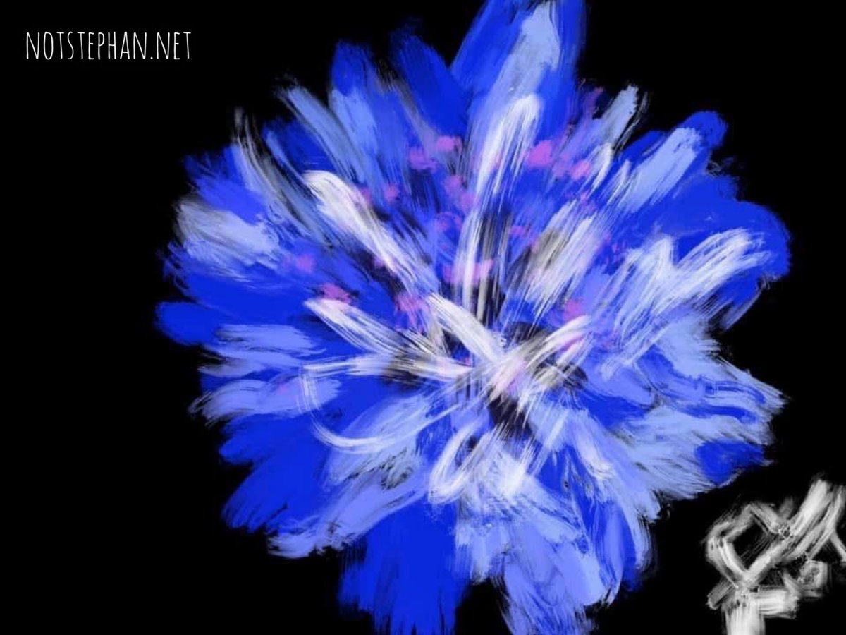 notstephan tweet media