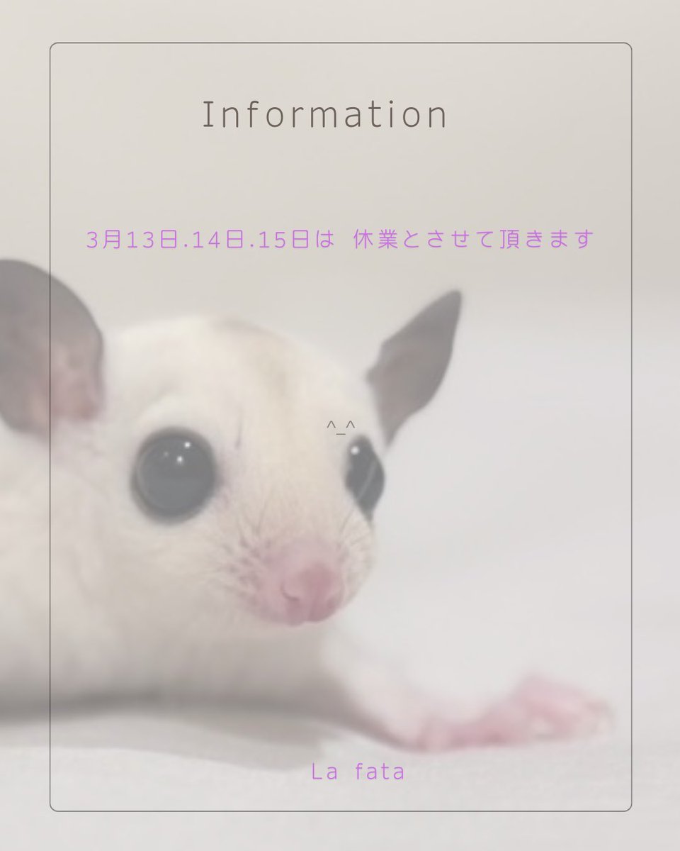 Lafata07358422's tweet photo. 明日3月13日〜3月15日迄お休みさせて頂きます🙇‍♀️

お問い合わせの返信は出来ます。
ご理解の程宜しくお願い致します🙇‍♀️
#Lafata
#フクロモモンガブリーダー https://t.co/Wa4gbDvX4x