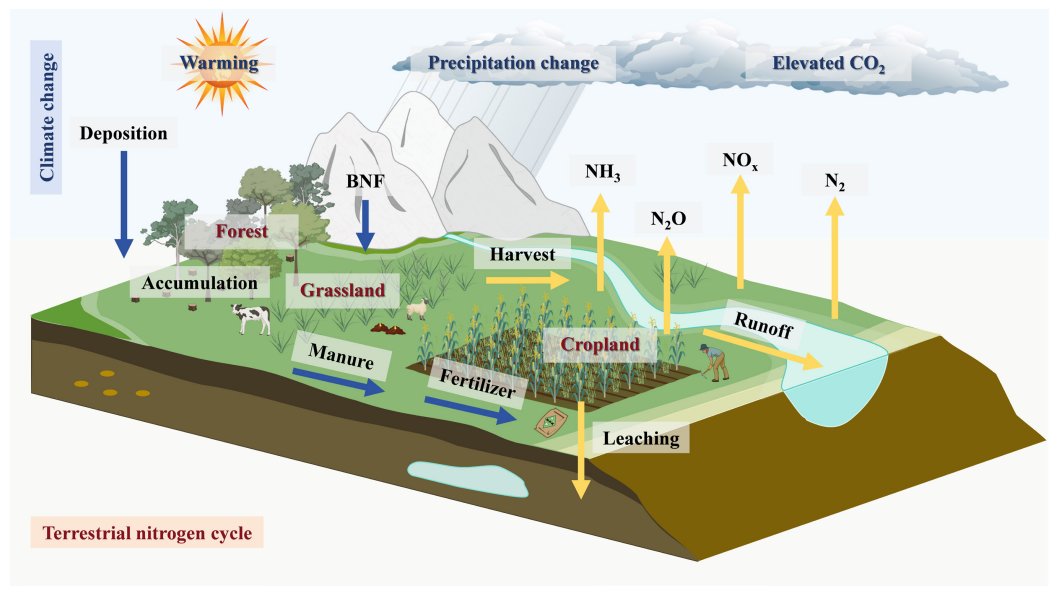 New Community tweet media