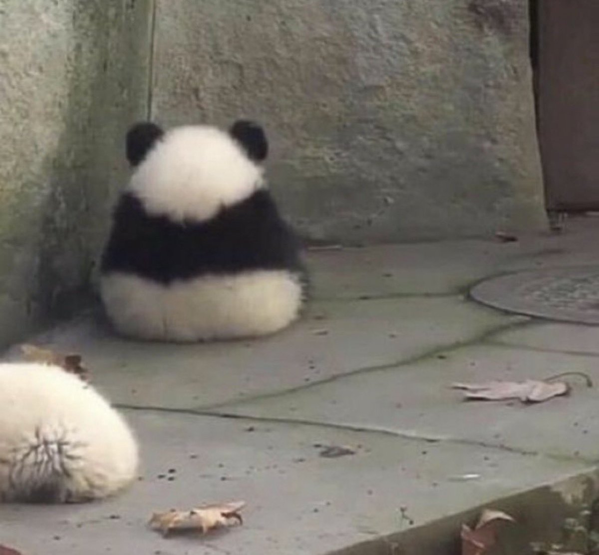 売れ残ったおにぎりかよ笑笑