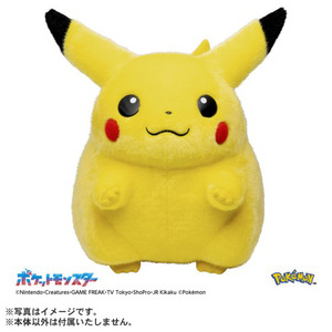 お待たせしました！即完売した『 ＃ポケモン30周年記念 おかえり