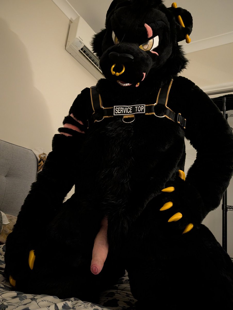 Straight up Jaggin it tweet media