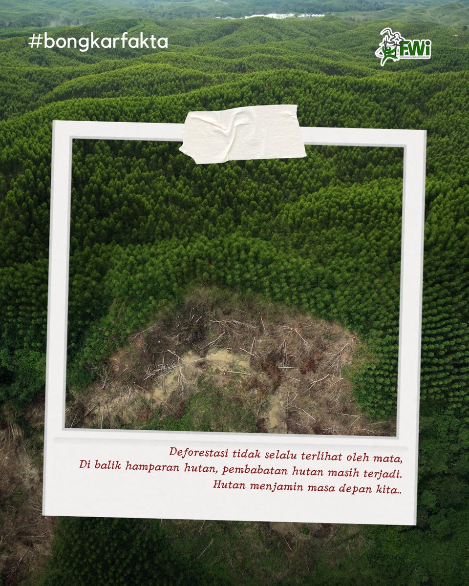 Forest Watch Indonesia tweet media
