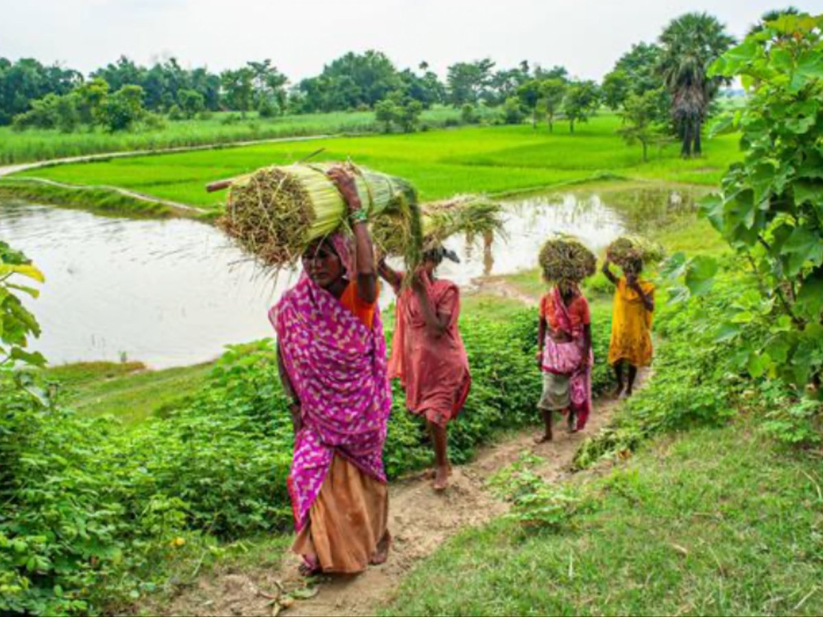 Erik Solheim tweet media