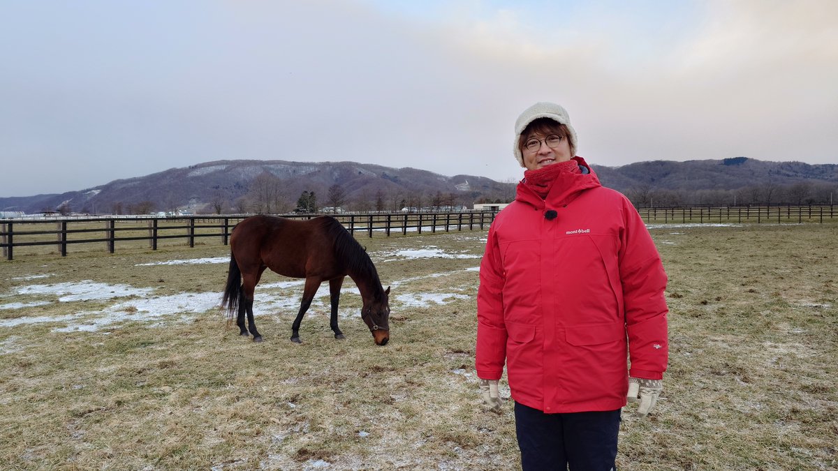 水曜馬スペ！official【グリーンチャンネル】 tweet media