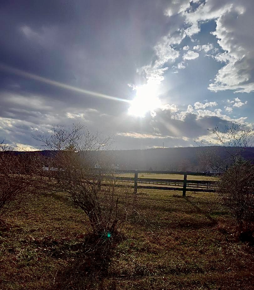 John P. Flannery tweet media