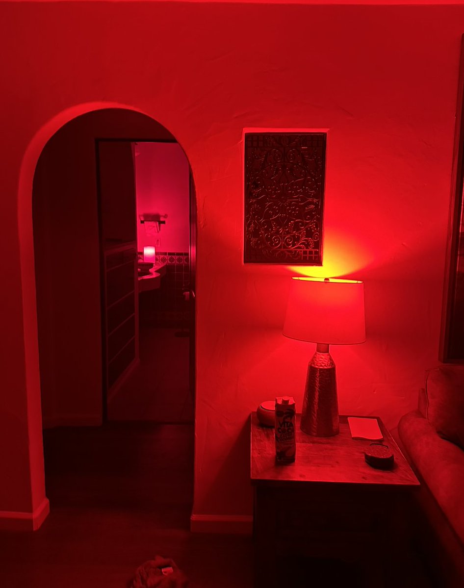 Carnivore Aurelius ©🥩 ☀️🦙 tweet media