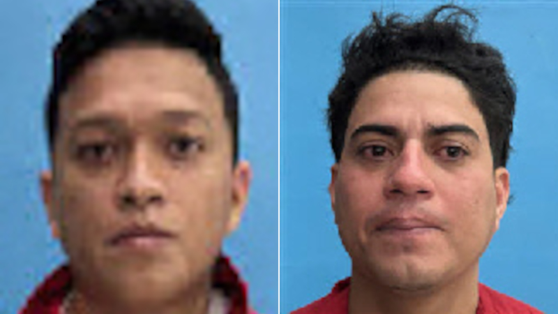 Border Hawk tweet media