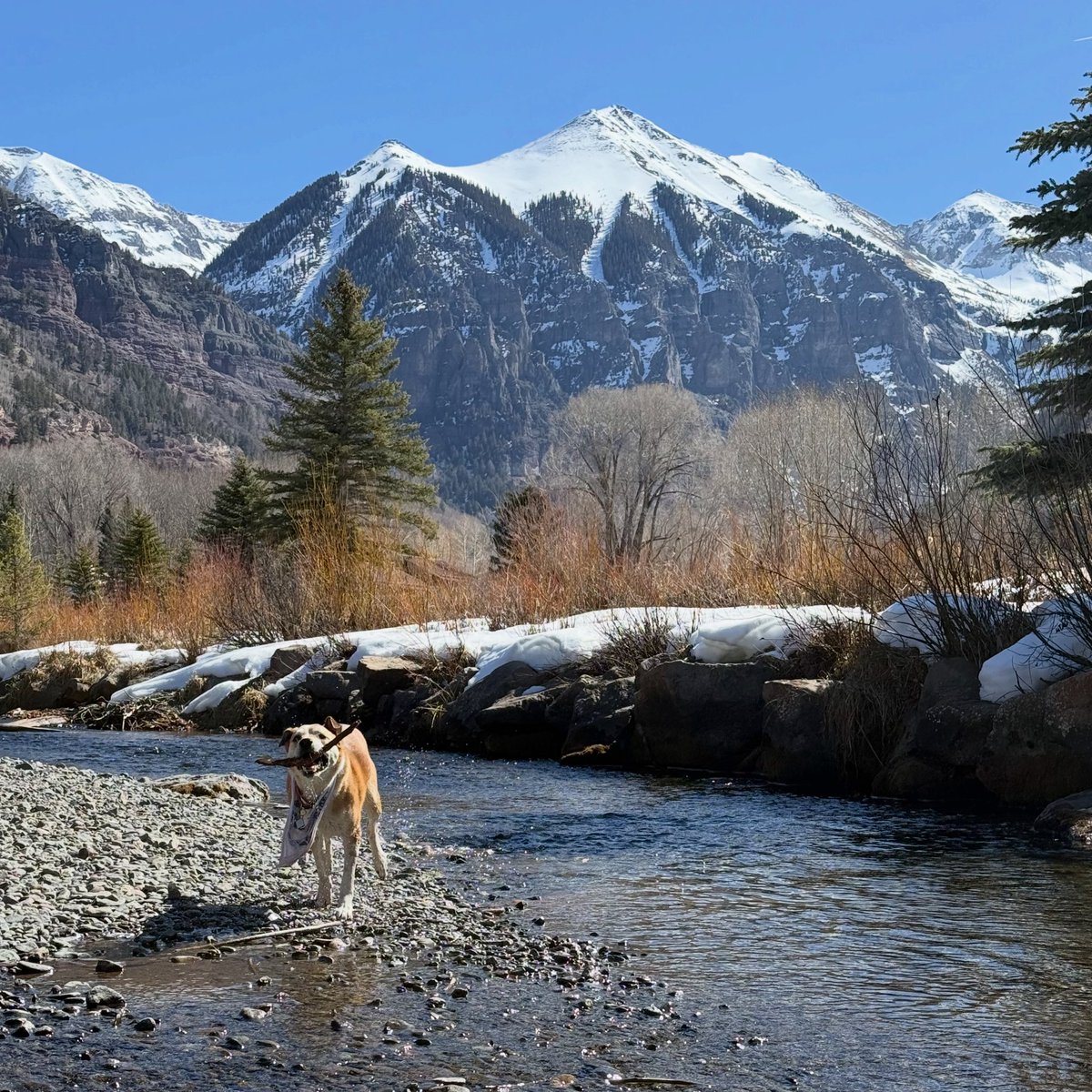 Visit Telluride tweet media
