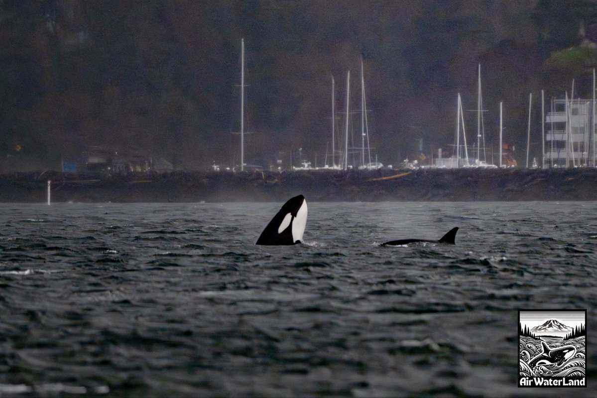 AirWaterLand Photography tweet media