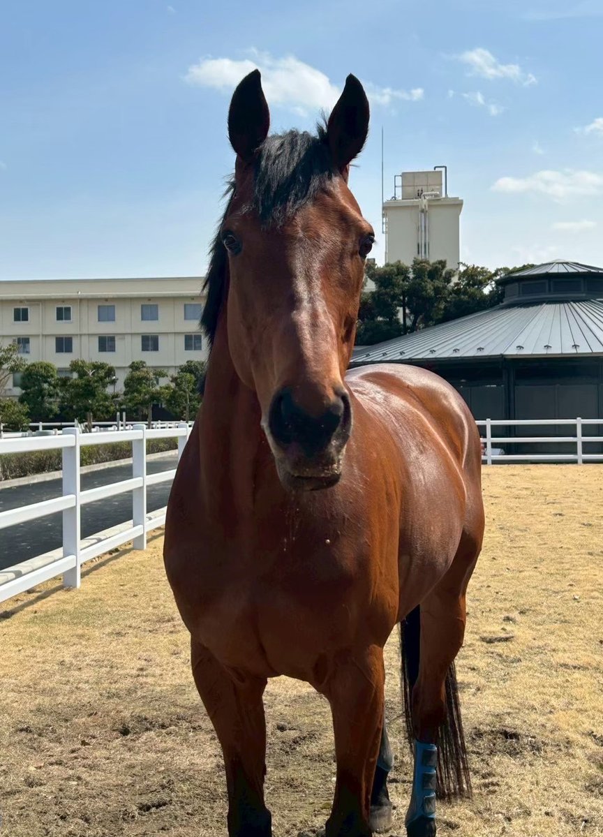 警視庁広報課 tweet media