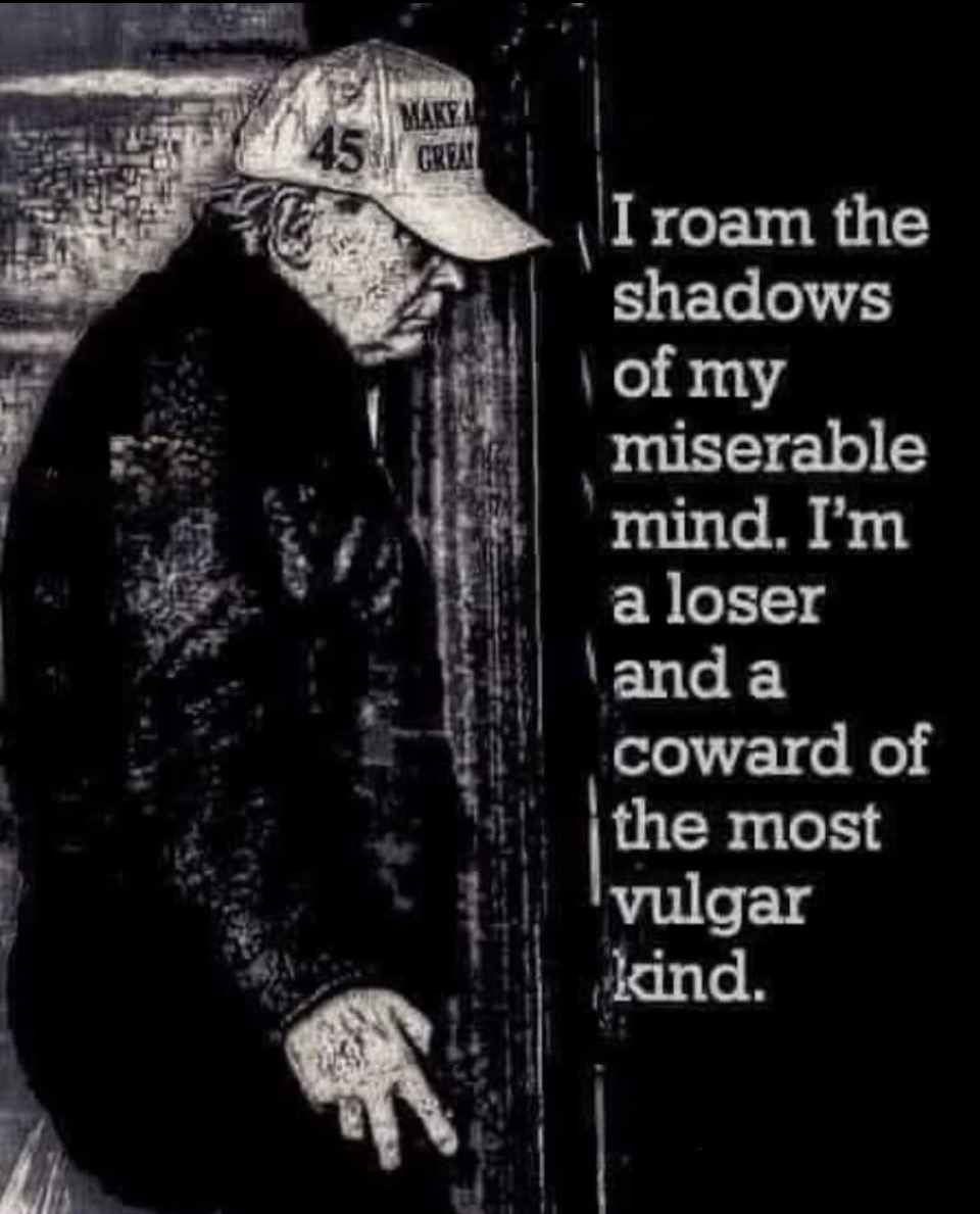 Brodiesmom68's tweet photo. I don’t throw the word hate around lightly.
But to say how much I hate this person is an understatement.
For all the lives he has destroyed, for the lies he has told.
For destroying our country.
It will be a glorious day to see Trump and his entire administration go down. https://t.co/HcD2NIEIq5