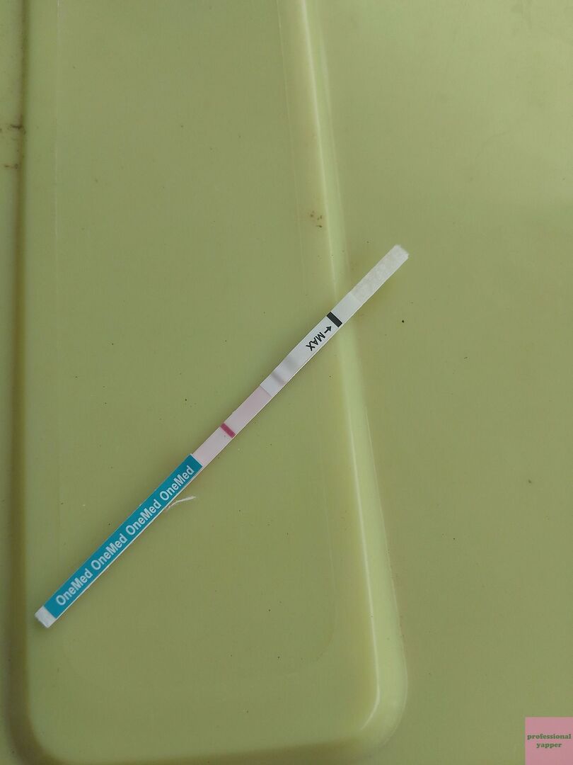 YAPPINGFESS tweet media