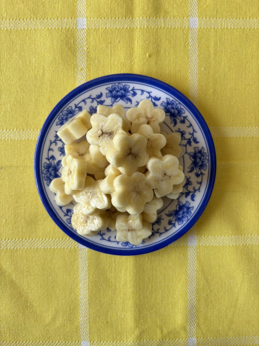 Sanskriti Bist tweet media