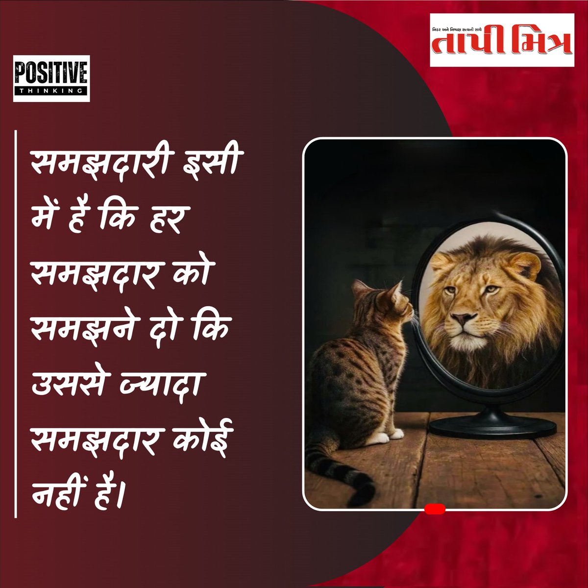 tapimitraofficial tweet media