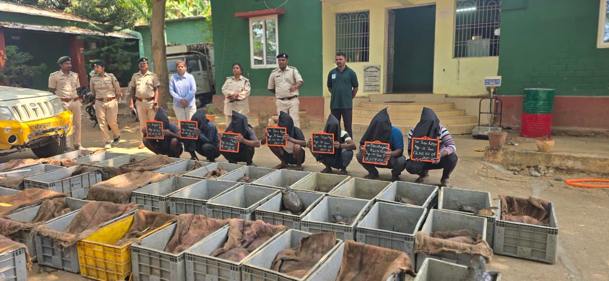 otvkhabar's tweet image. #୬୩୧ଟି_କଇଁଛ_ଉଦ୍ଧାର;#୭ଗିରଫ
-ମାଲକାନଗିରି: ଆନ୍ଧ୍ର-ଓଡ଼ିଶା ସୀମାନ୍ତରୁ ୬୩୧ଟି ଜୀବନ୍ତ କଇଁଛ ଉଦ୍ଧାର
-କ୍ରିଷ୍ଣା ଜିଲ୍ଲା କୋରକୁଲା ଗାଁ ନିକଟରେ ବିକ୍ରି ବେଳେ ଧରିଲା ମୋଟୁ ବନ ବିଭାଗ
-୭ ଗିରଫ; ଗୋଟିଏ ବୋଲେରୋ, ୨ଟି ବାଇକ୍, ୬ଟି ମୋବାଇଲ ଜବତ
-ପ୍ରାୟ ୨ ଟନ୍ ଓଜନର ଲକ୍ଷାଧିକ ଟଙ୍କାର କଇଁଛ ୩୮ଟି ଟ୍ରେରେ ଯାଉଥିଲା
#malkangiri