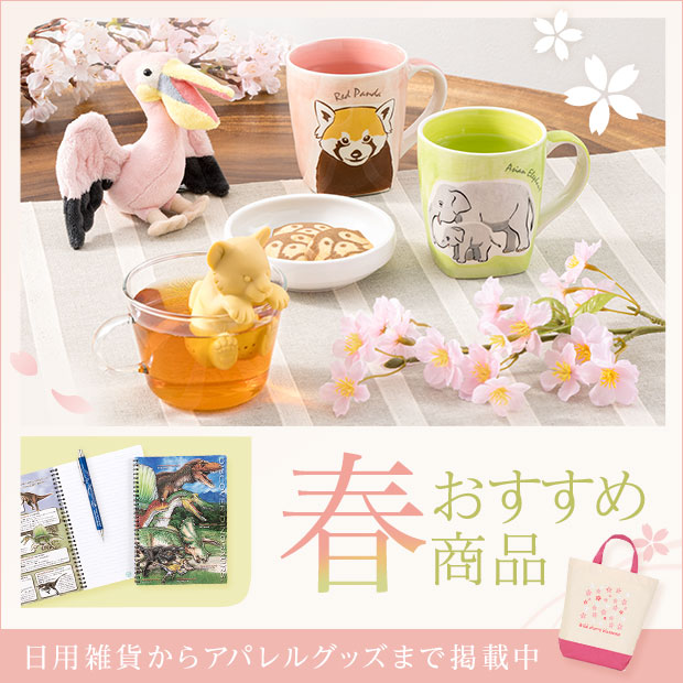 カロラータオンラインショップ tweet media