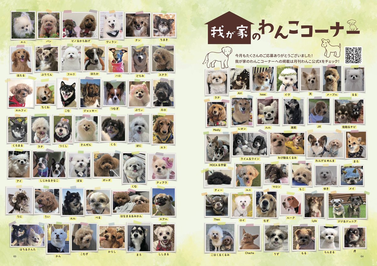 月刊わんこ編集部 tweet media