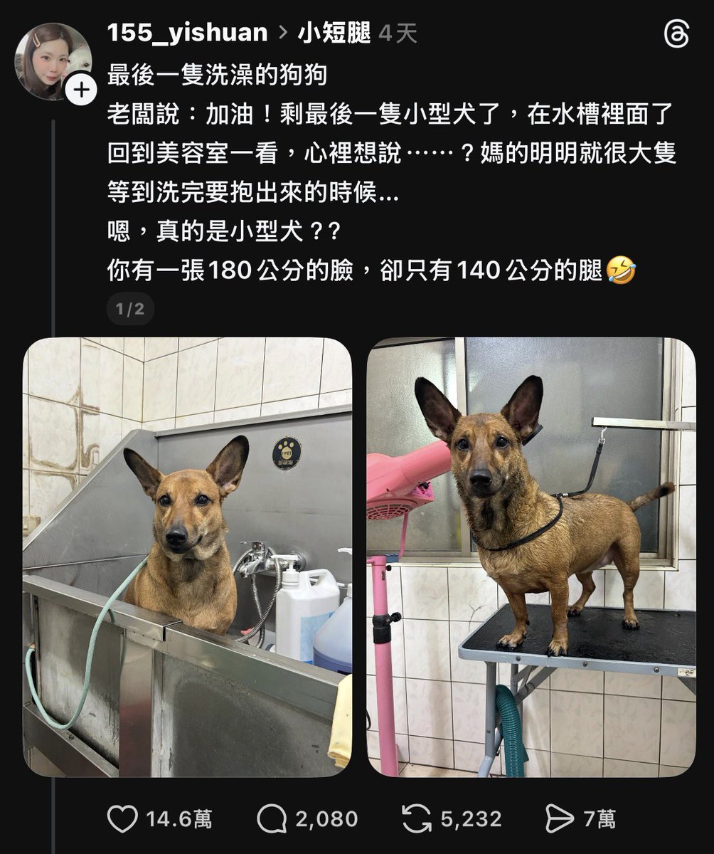 黑貓老師 tweet media