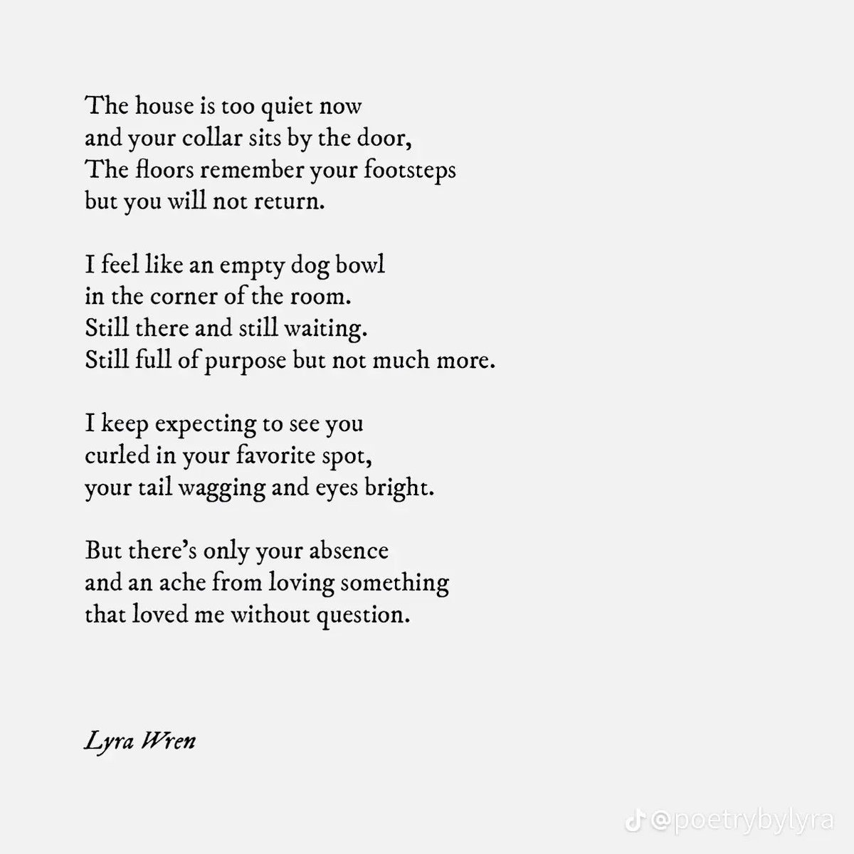 Mother Fluffbutt tweet media