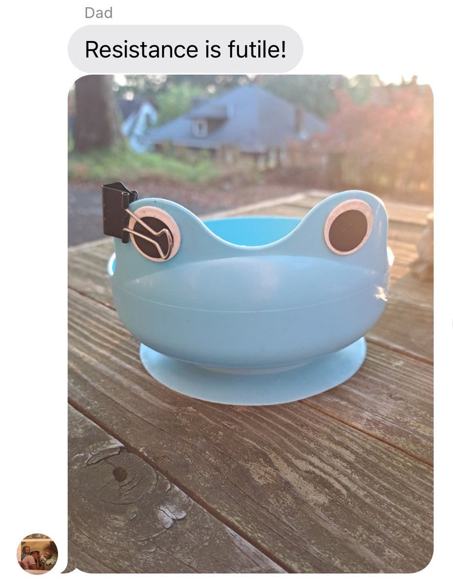 Anna Pycior tweet media