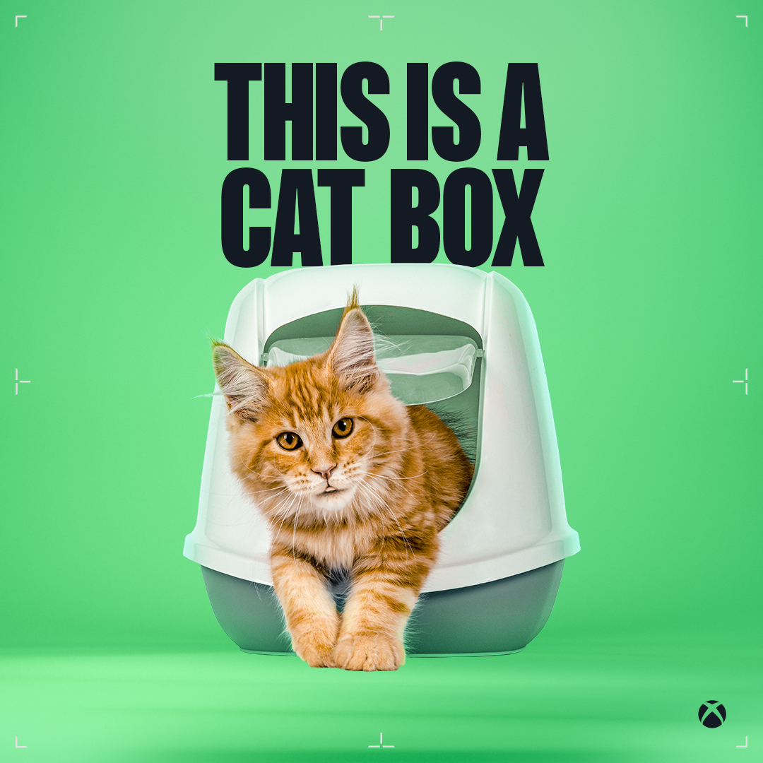 Tom Warren tweet media