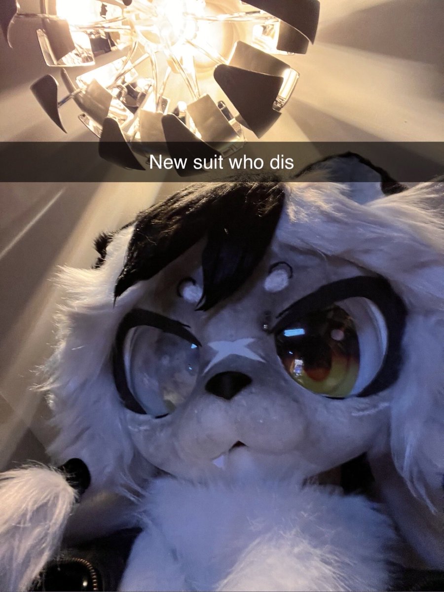 Tangle 🔜 Cfz tweet media