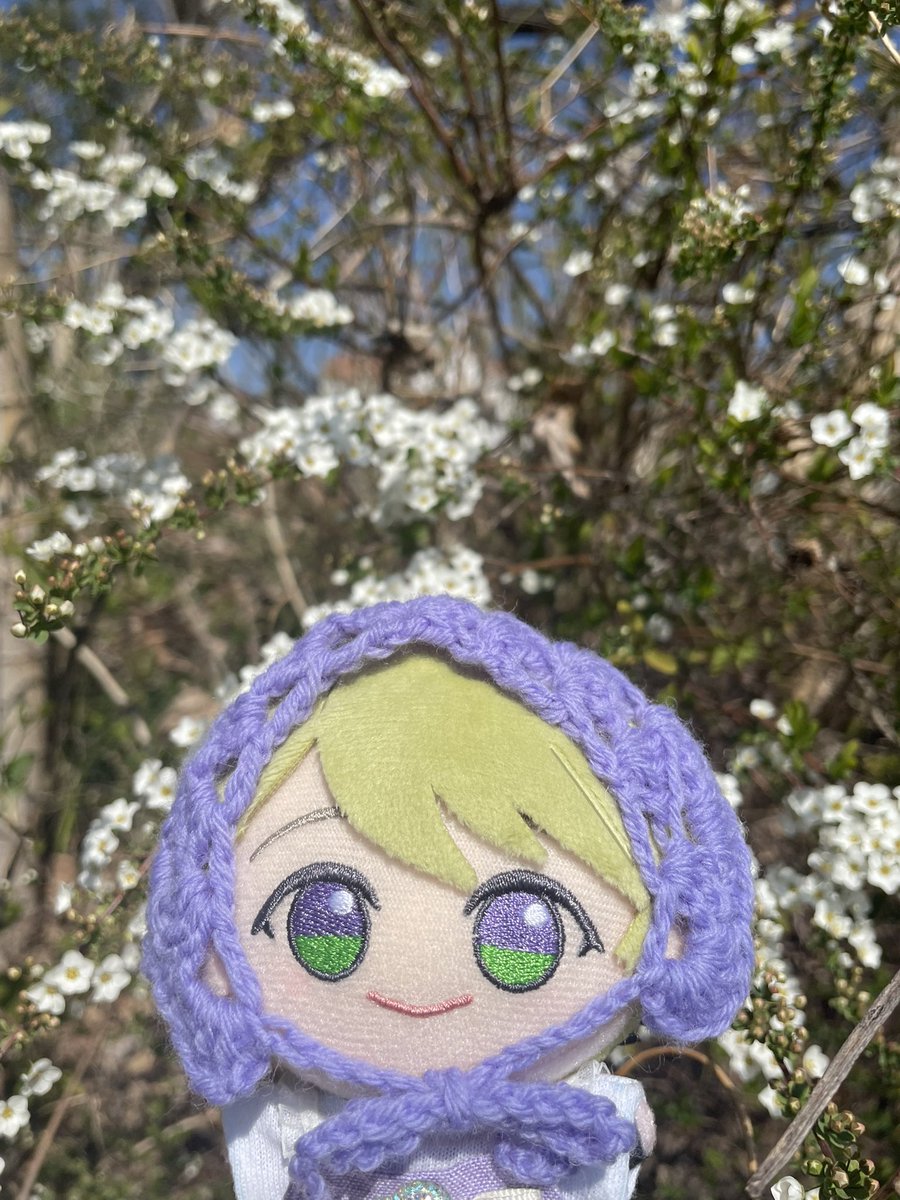 bitz_works's tweet photo. 今日はQちゃんと朝んぽ🤍☀️ https://t.co/diUTPKaUAD
