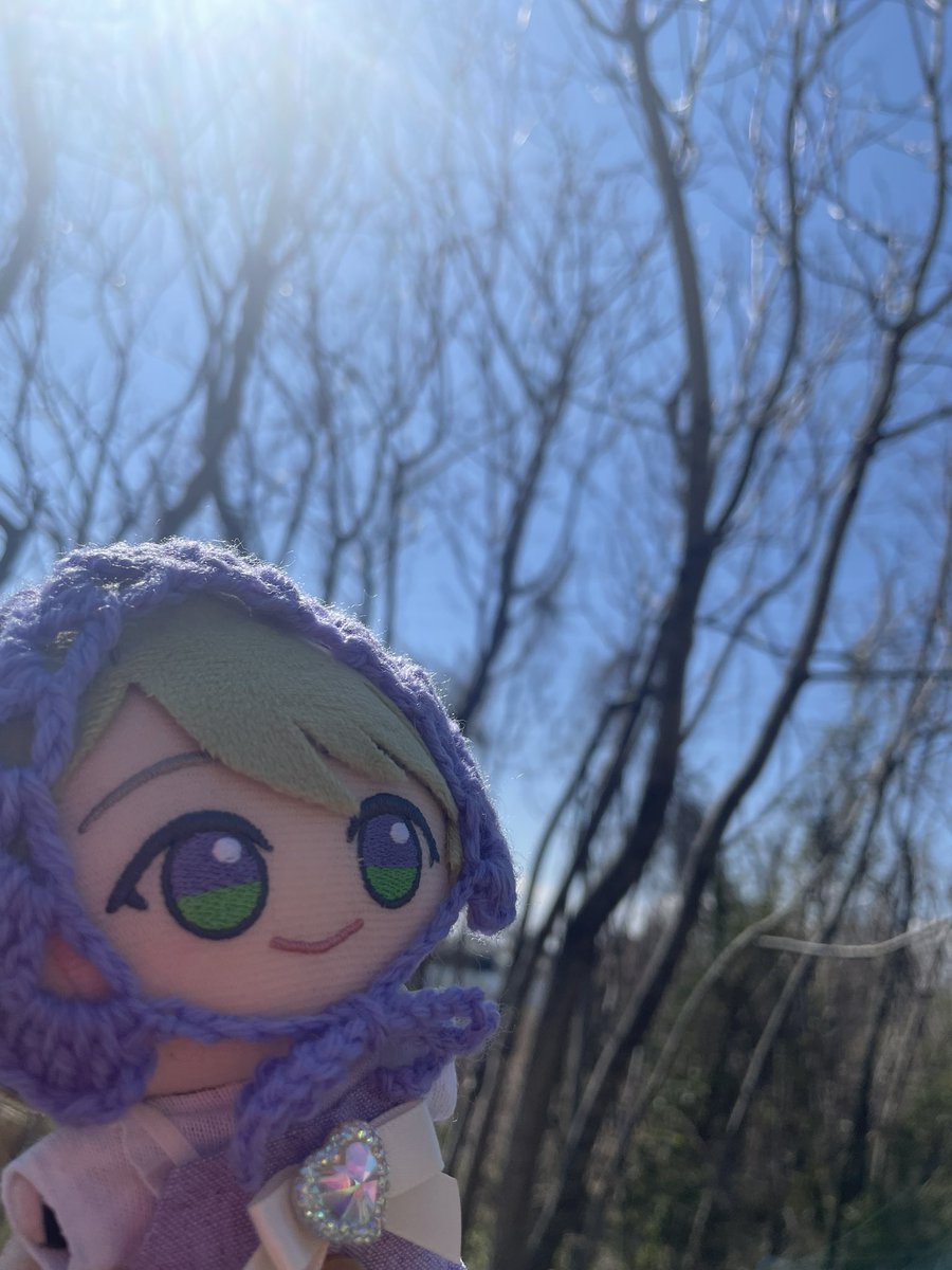 bitz_works's tweet photo. 今日はQちゃんと朝んぽ🤍☀️ https://t.co/diUTPKaUAD
