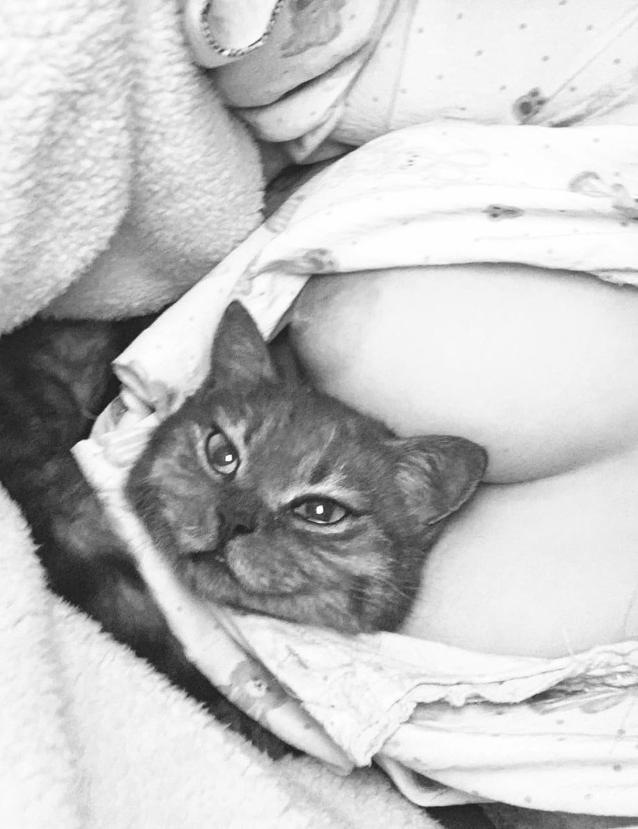 sofi burrinha tweet media