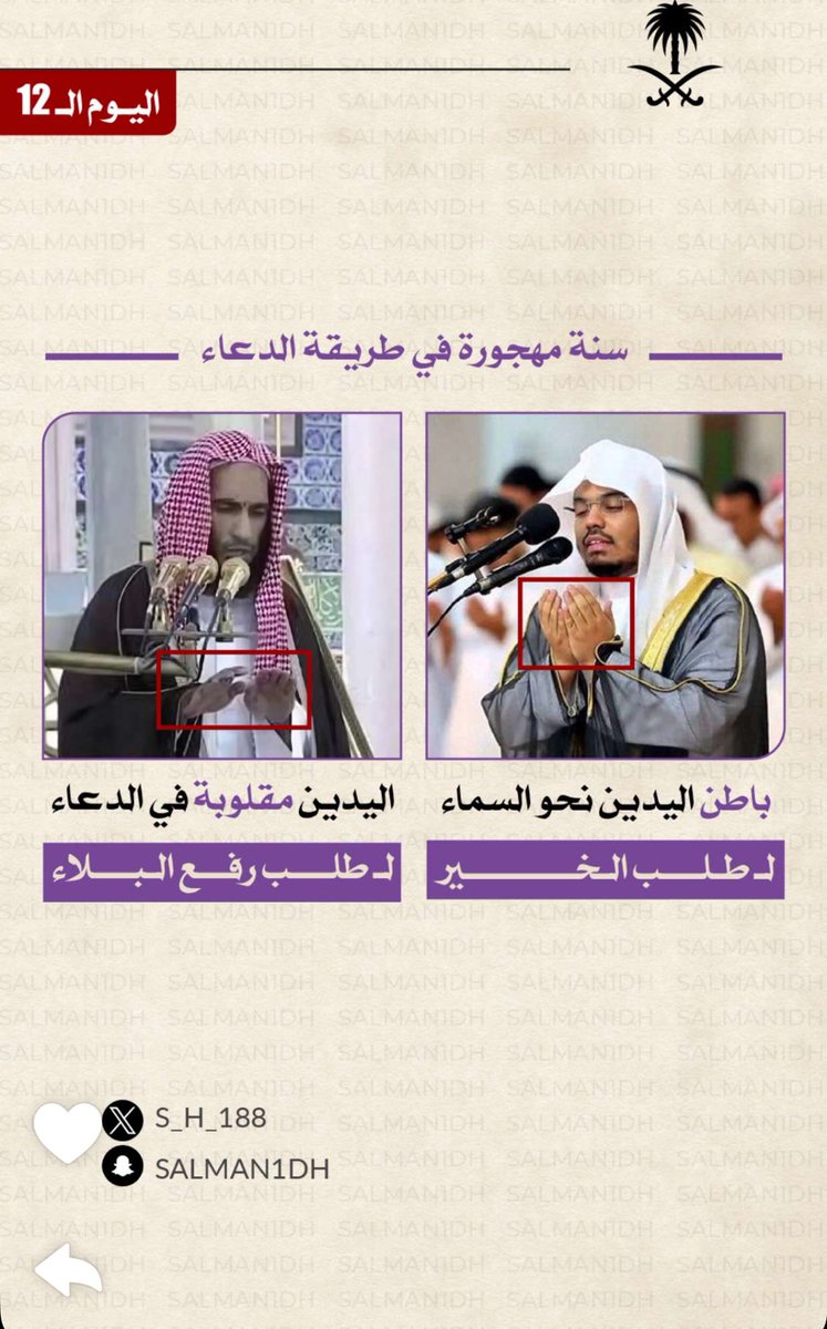 رحاب tweet media