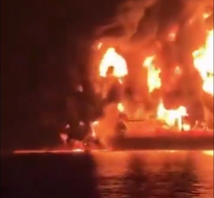 Anvi Yadav tweet media