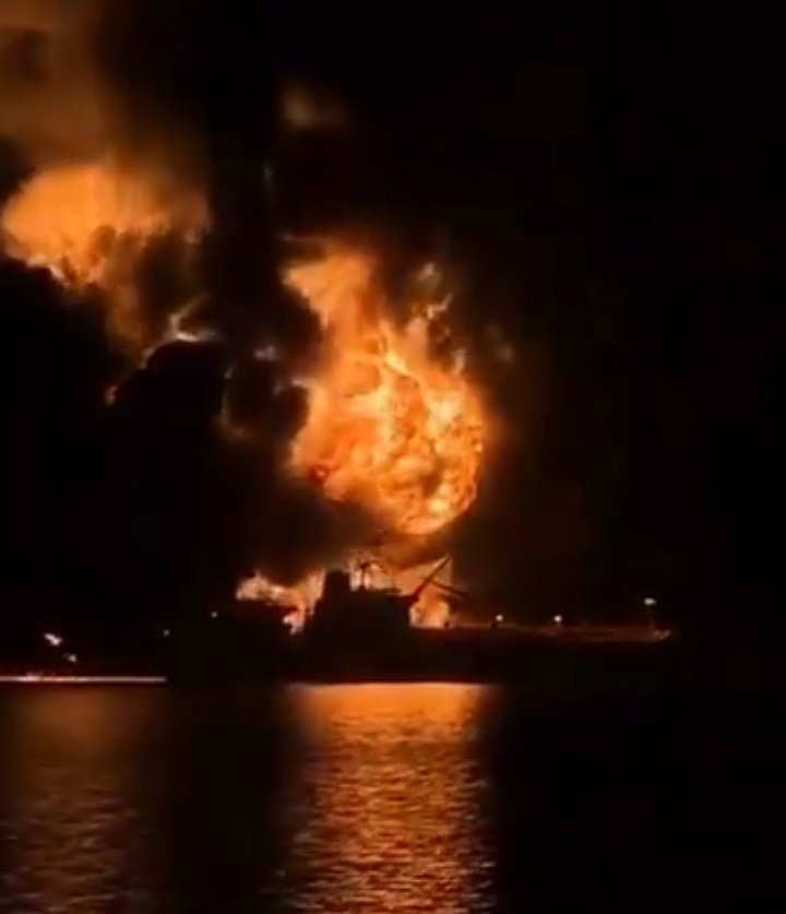 Anvi Yadav tweet media