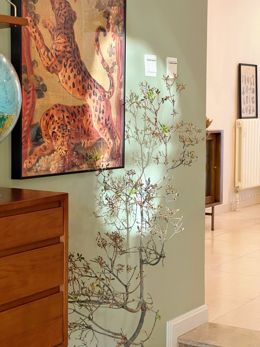 chidichiu's tweet image. "Sort old stuff: keep what sparks joy, donate what serves others, recycle what’s useful. Clear space, lighten mood  #DeclutterHappiness"