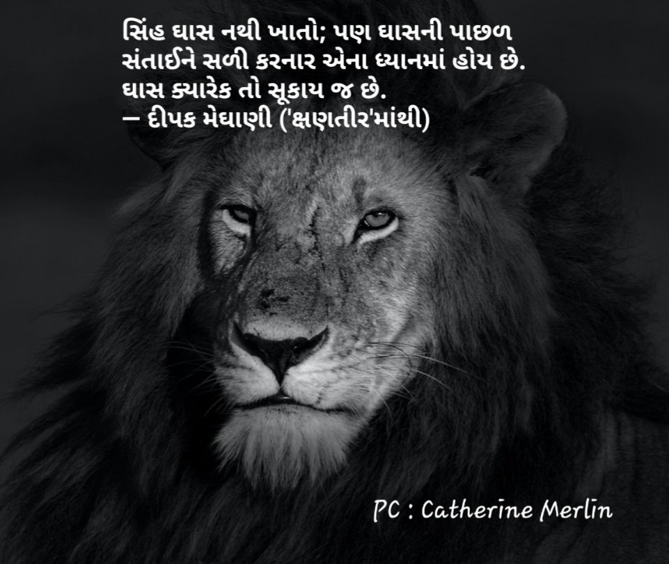 Deepak Meghani (@deepakmeghani) on Twitter photo 