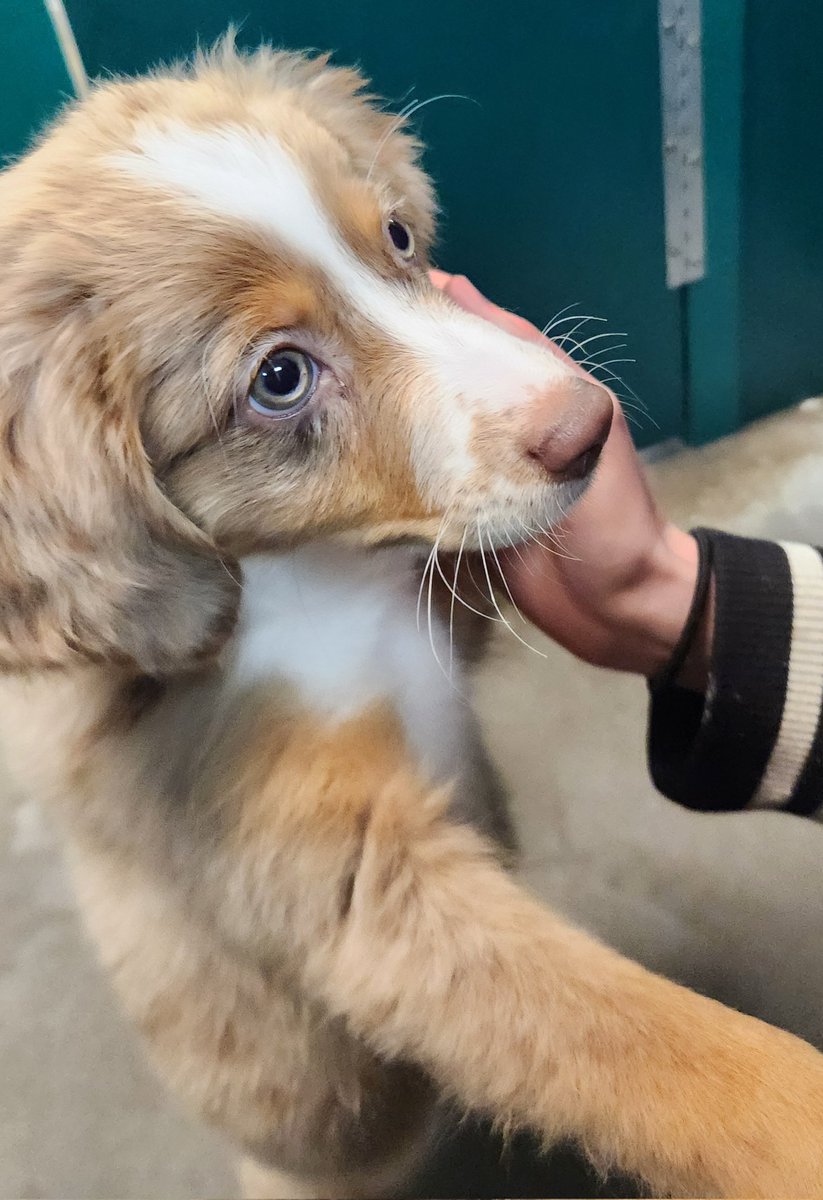 SailorVT tweet media