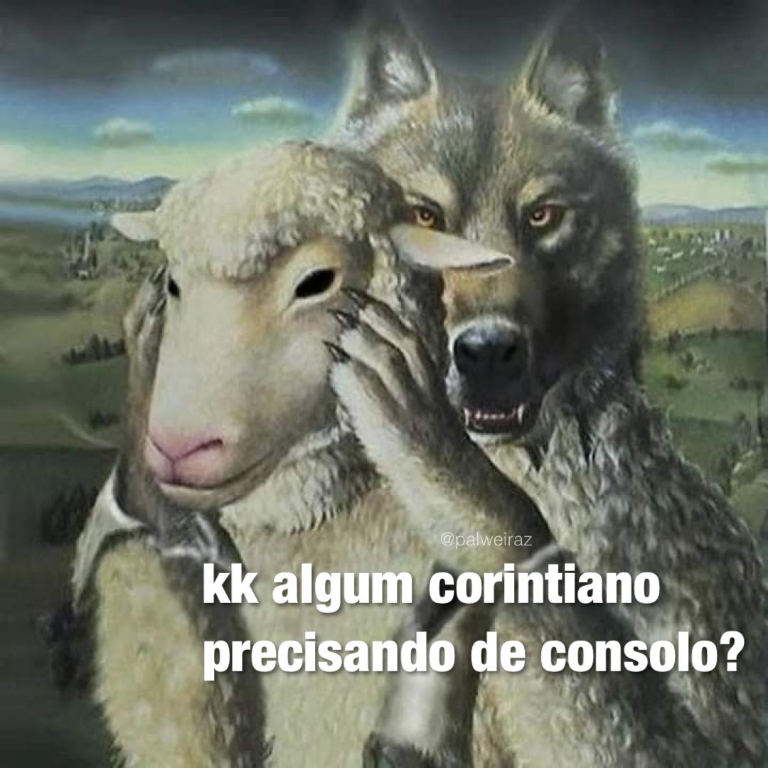 tameiras (@palweiraz) on Twitter photo 