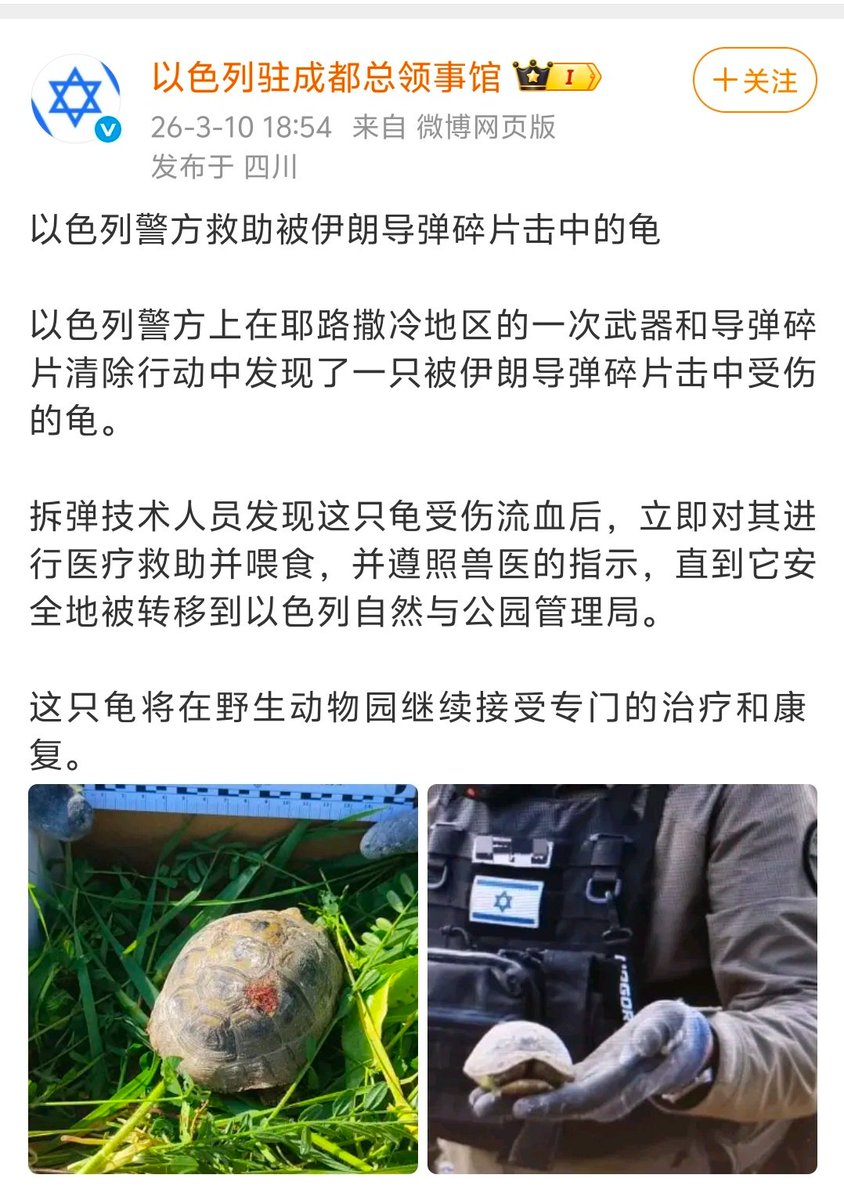 我是梦嫣❤️ tweet media
