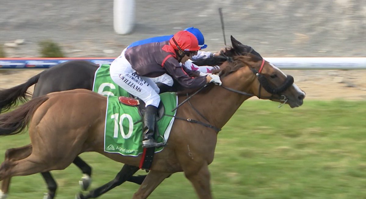CarstonRacing's tweet photo. The flashy chestnut Master Brutus gets it done on the line to bring up a stable double 🎉

A new addition to our team we were thrilled to get a win today with this handy galloper for his owner/breeders G Allen &amp; D Jensen. 

Thanks to Kylie Williams for the beautifully timed ride https://t.co/heo8iS0IGe