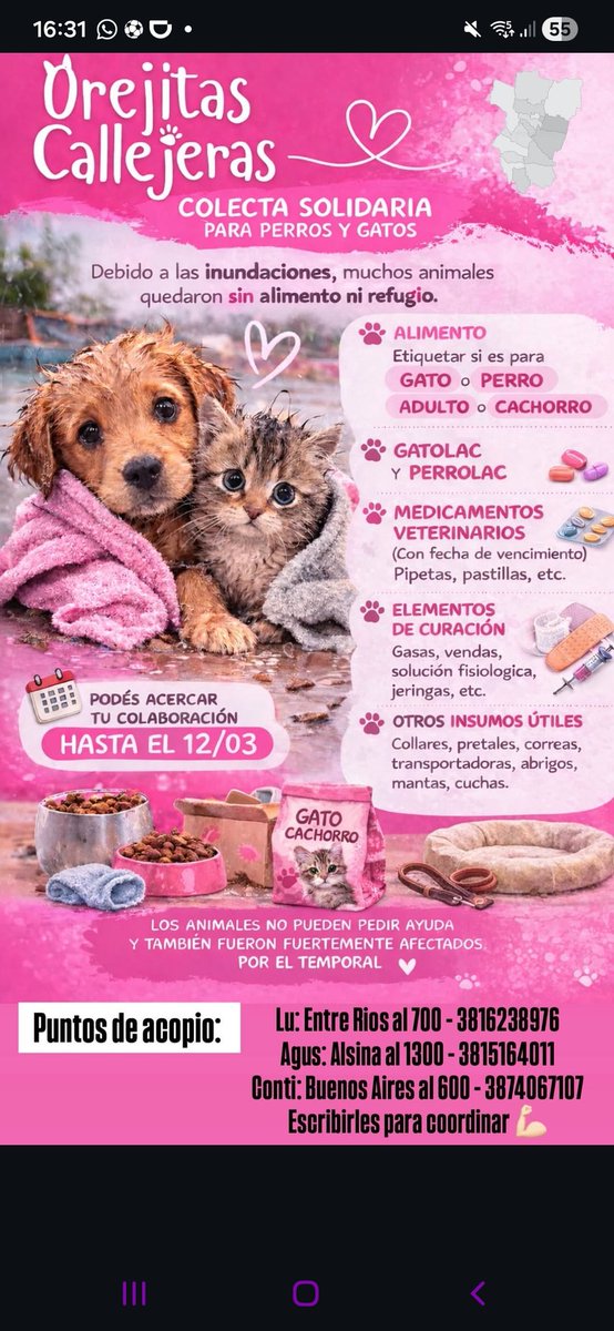 <a href="/jiminqiell/">Rocío⁷ 🇦🇷 ARIRANG</a> hola, con la fundación de la que formó parte estamos juntando tambien para ir a ayudar a los animales